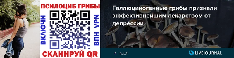 Галлюциногенные грибы Cubensis  цены наркотик  Нурлат 